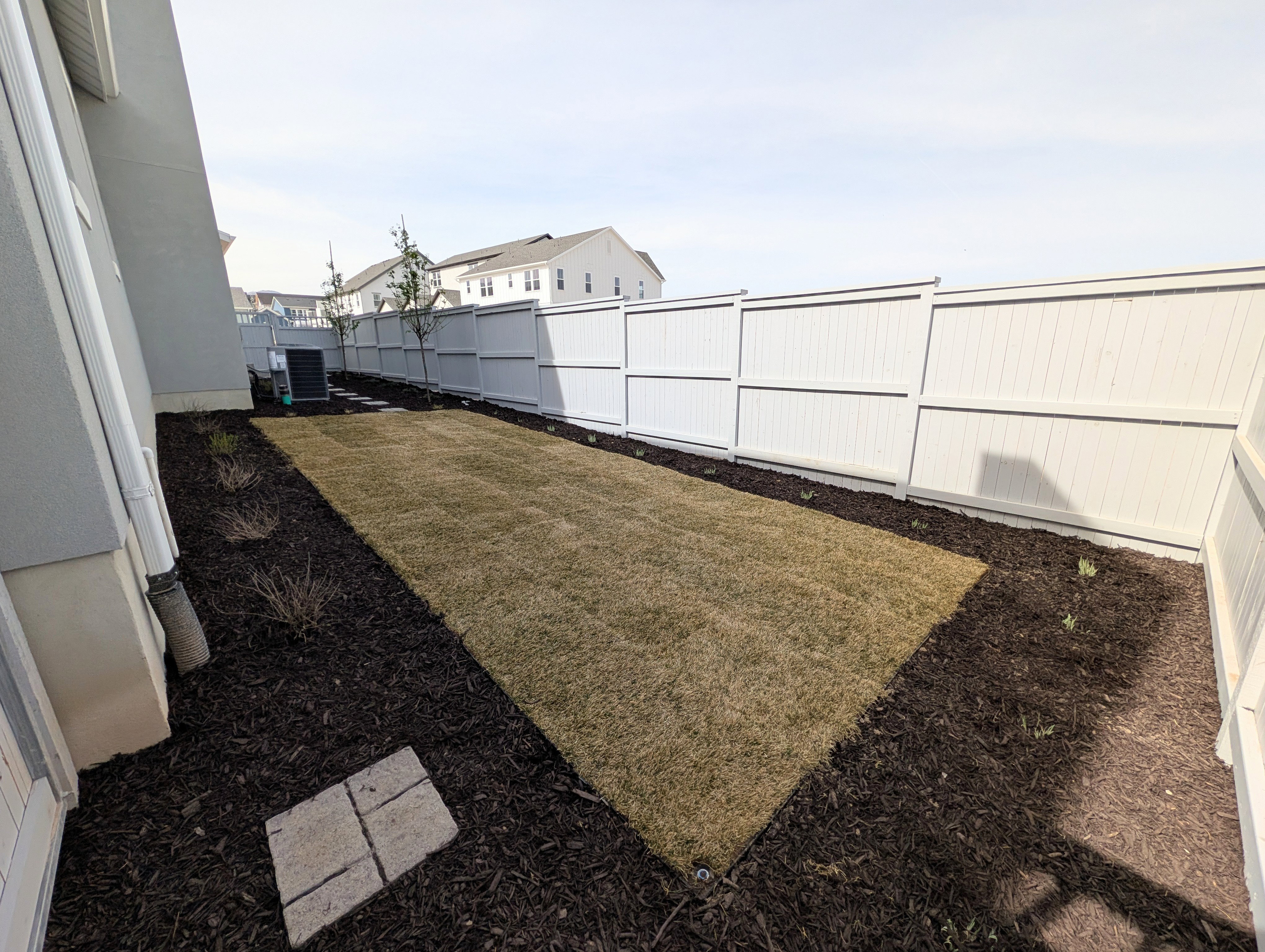 View of fenced backyard