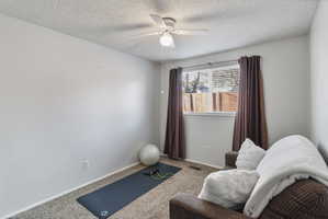 Workout room featuring carpet flooring, a ceiling fan, and a textured ceiling