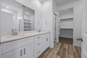 Full bathroom with a walk in closet, double vanity, a stall shower, and light wood-style floors
