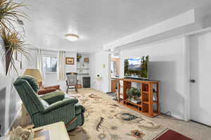 Living room with carpet floors and a textured ceiling