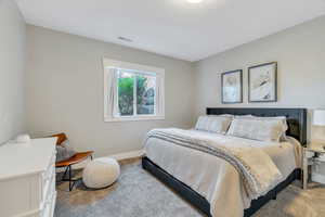 Downstairs Carpeted bedroom