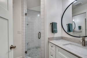 Downstairs Bathroom one of two featuring vanity and a walk-in shower