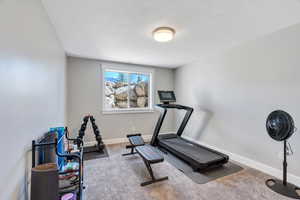 Downstairs bedroom being used as a Workout room with carpet