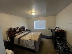 Bedroom with a textured ceiling and dark carpet