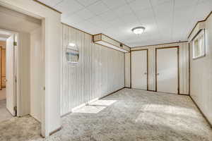 Below grade area featuring light colored carpet and wooden walls