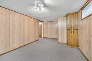 Basement featuring wood walls, a textured ceiling, and light carpet