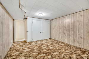 Finished basement featuring wood walls and carpet flooring