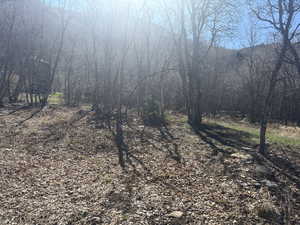 View of undeveloped land