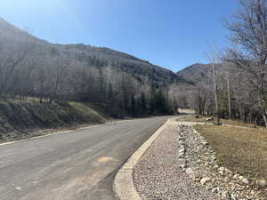 View of asphalt road featuring a mountain view and a wooded view