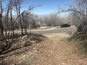 View of asphalt road