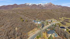 Bird's eye view of a mountainous background