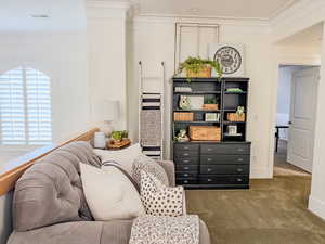 Living area featuring crown molding and carpet