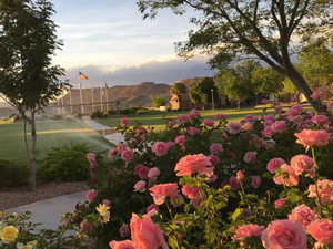 View of property's community featuring a mountain view