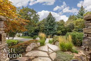 View of yard featuring view of wooded area