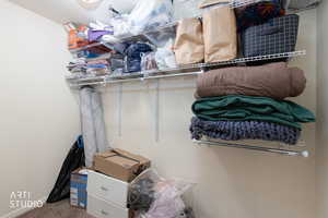 Walk in closet featuring carpet floors