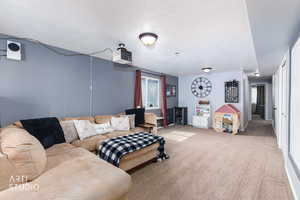 Living room featuring carpet