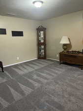Unfurnished room with a textured ceiling and dark colored carpet