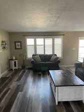 Living room featuring a textured ceiling and dark wood-type flooring