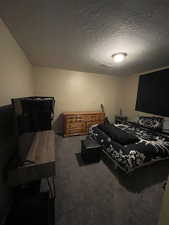 Carpeted bedroom with a textured ceiling