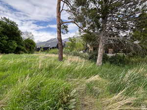 View of yard with a mountain view