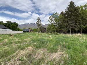 View of yard with a mountain view