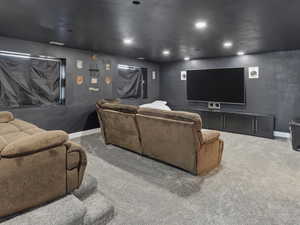 Carpeted cinema featuring baseboards and recessed lighting