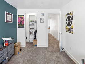 Bedroom featuring carpet floors and a walk in closet