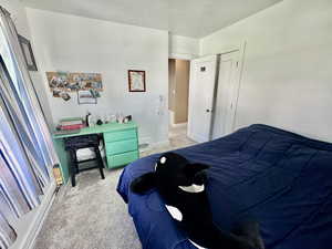 Bedroom with light carpet