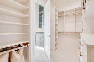 View of walk in closet