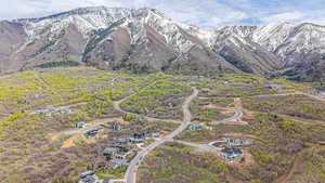 Aerial perspective of suburban area featuring a mountain backdrop