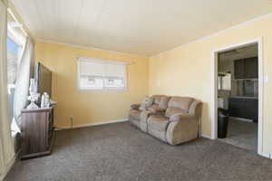 Living room featuring carpet floors and crown molding