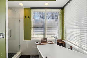 Full bathroom with a shower stall and a freestanding bath