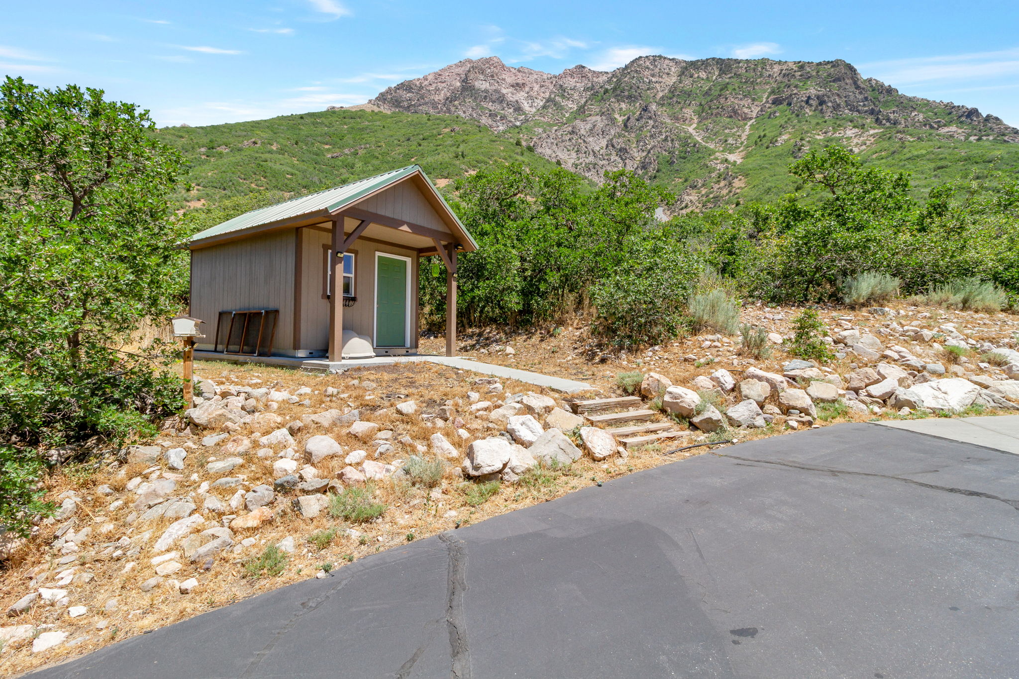 Compact storage shed with a light green metal roof and coordinating green door