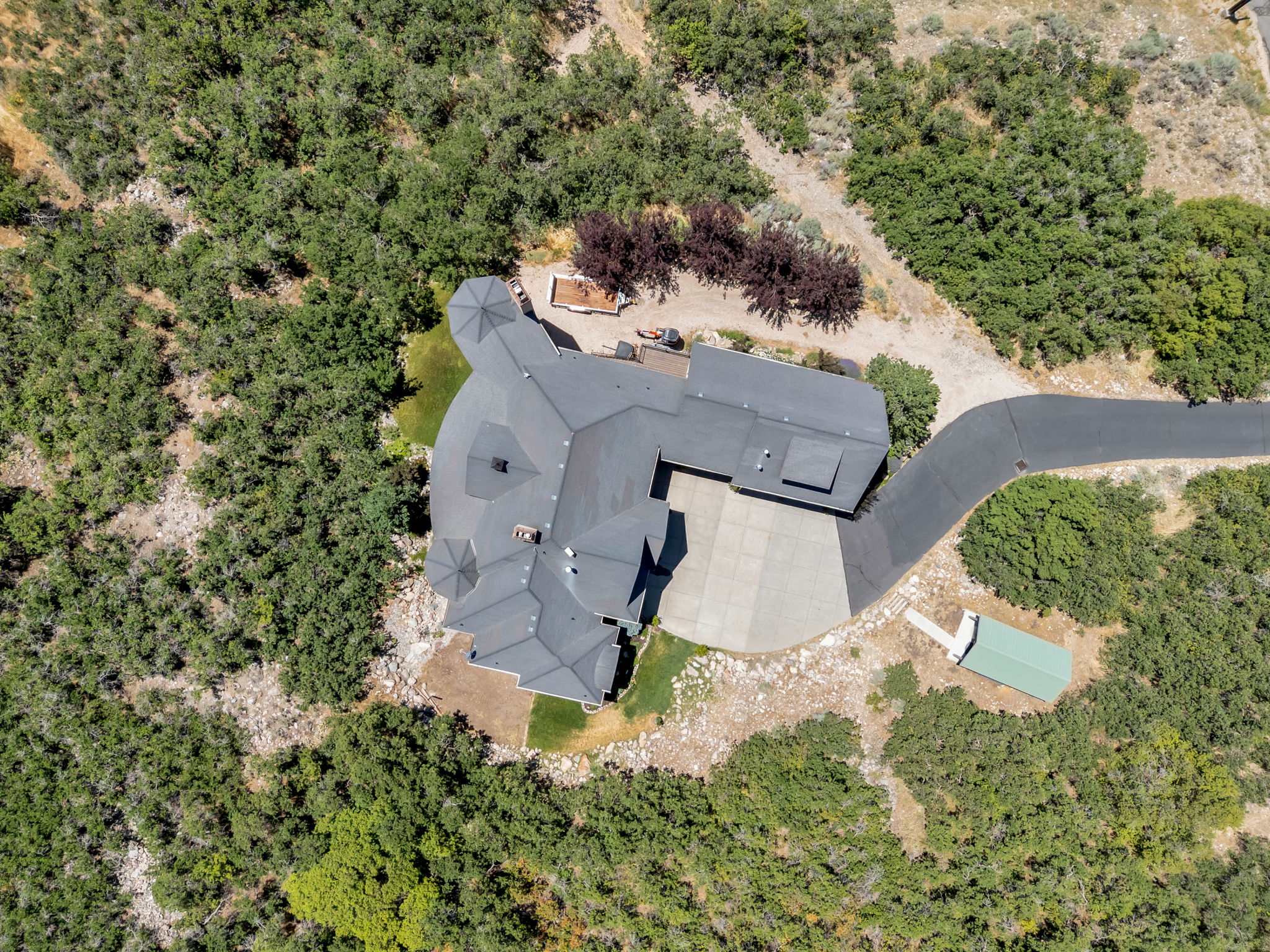 Expansive property featuring a distinctive multi-gabled roofline, a curved paved driveway, and extensive surrounding foliage