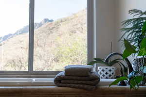 Sitting room featuring a mountain view