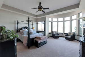 Bedroom featuring light carpet, multiple windows, a tray ceiling, and a ceiling fan