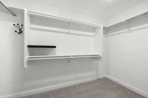 Walk in closet featuring carpet floors
