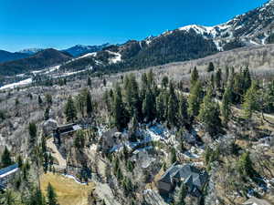 View of mountain backdrop with a forest