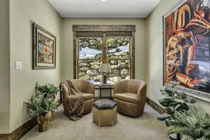 Sitting room featuring carpet floors and baseboards