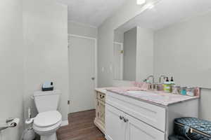 Bathroom featuring vanity, dark wood-style flooring, and a textured ceiling
