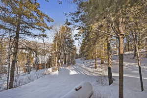 View of yard covered in snow