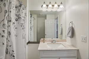Full bathroom featuring vanity and a shower with curtain