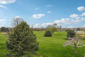 Surrounding community