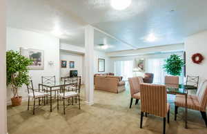 Dining space featuring a textured ceiling and light colored carpet