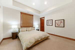 Bedroom with a tray ceiling and carpet