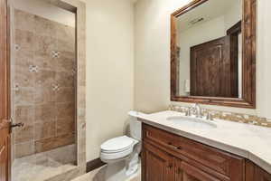 Full bathroom featuring vanity and a shower stall