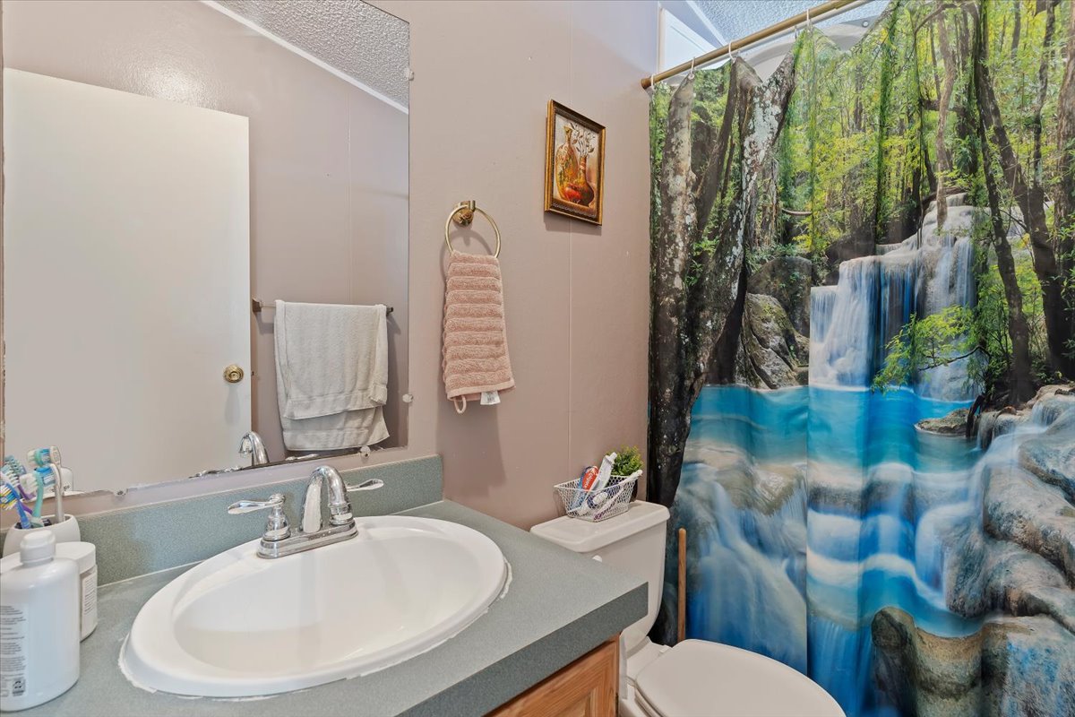 Bathroom with vanity and a shower with curtain