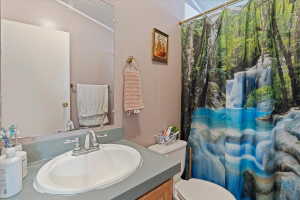 Bathroom with vanity and a shower with curtain