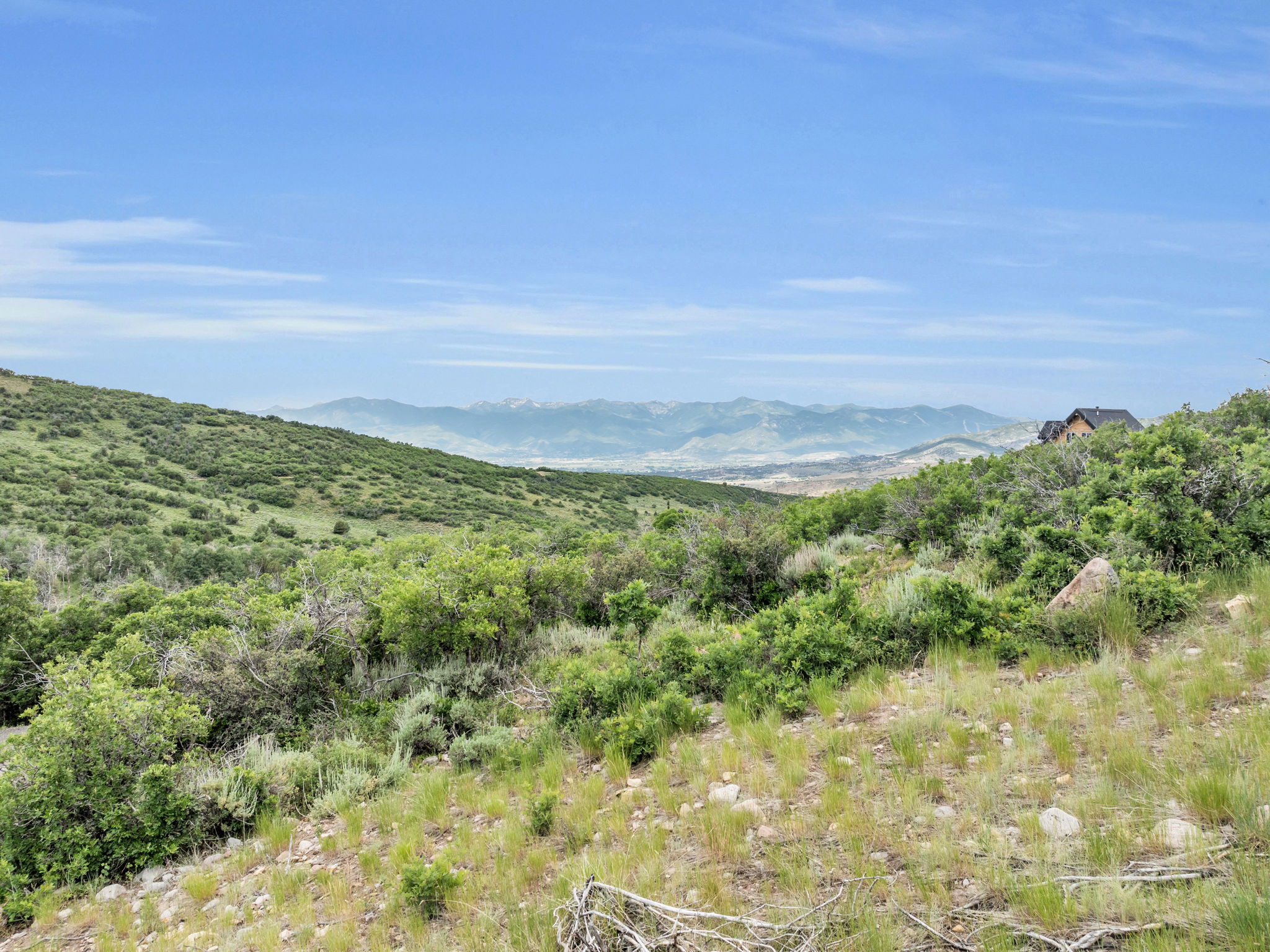 Mountain view