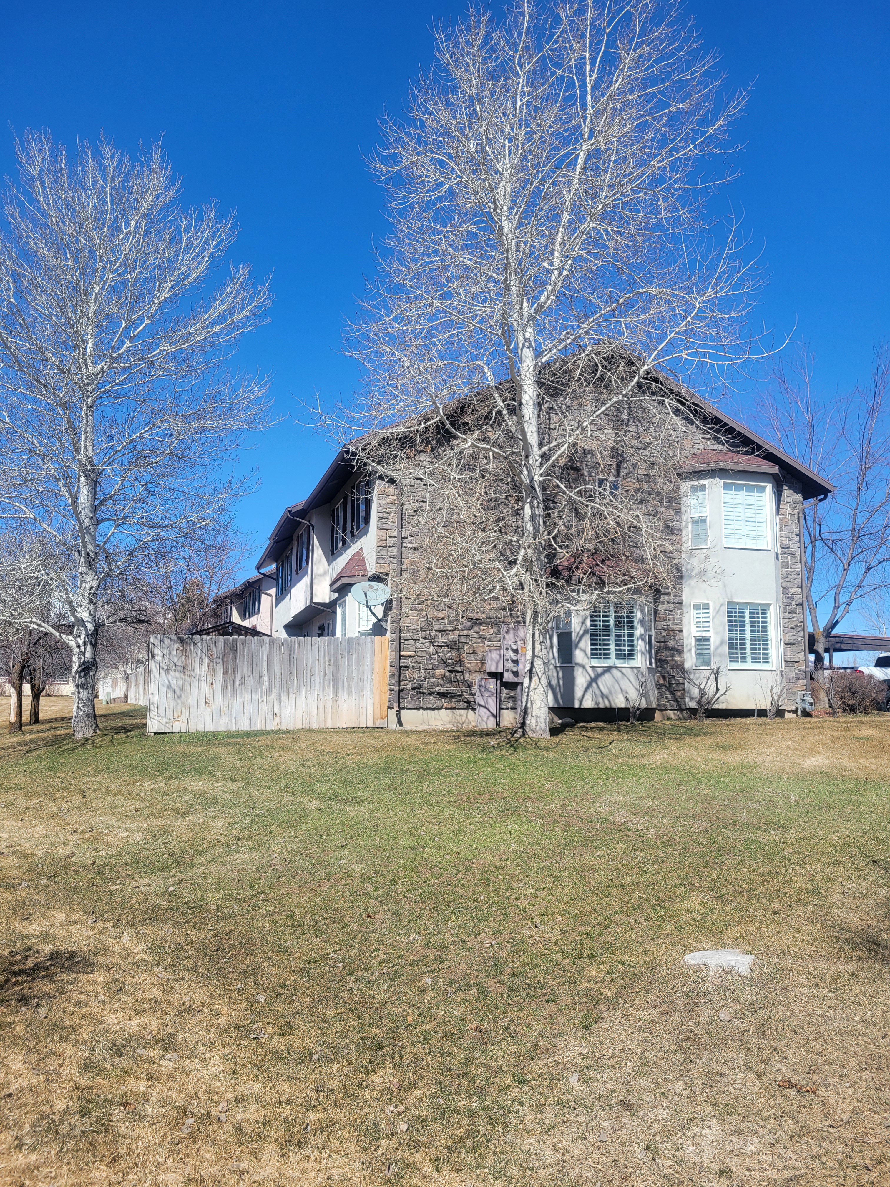 Rear view of house